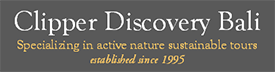 Clipper Discovery Online